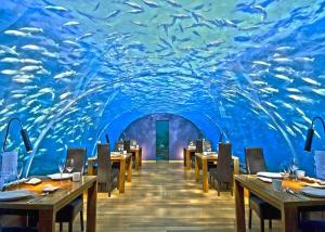 30-Stunning-Secret-Places-Most-Tourists-Don’t-Know-About-ithaa-underwater-restaurant-300x214.jpg