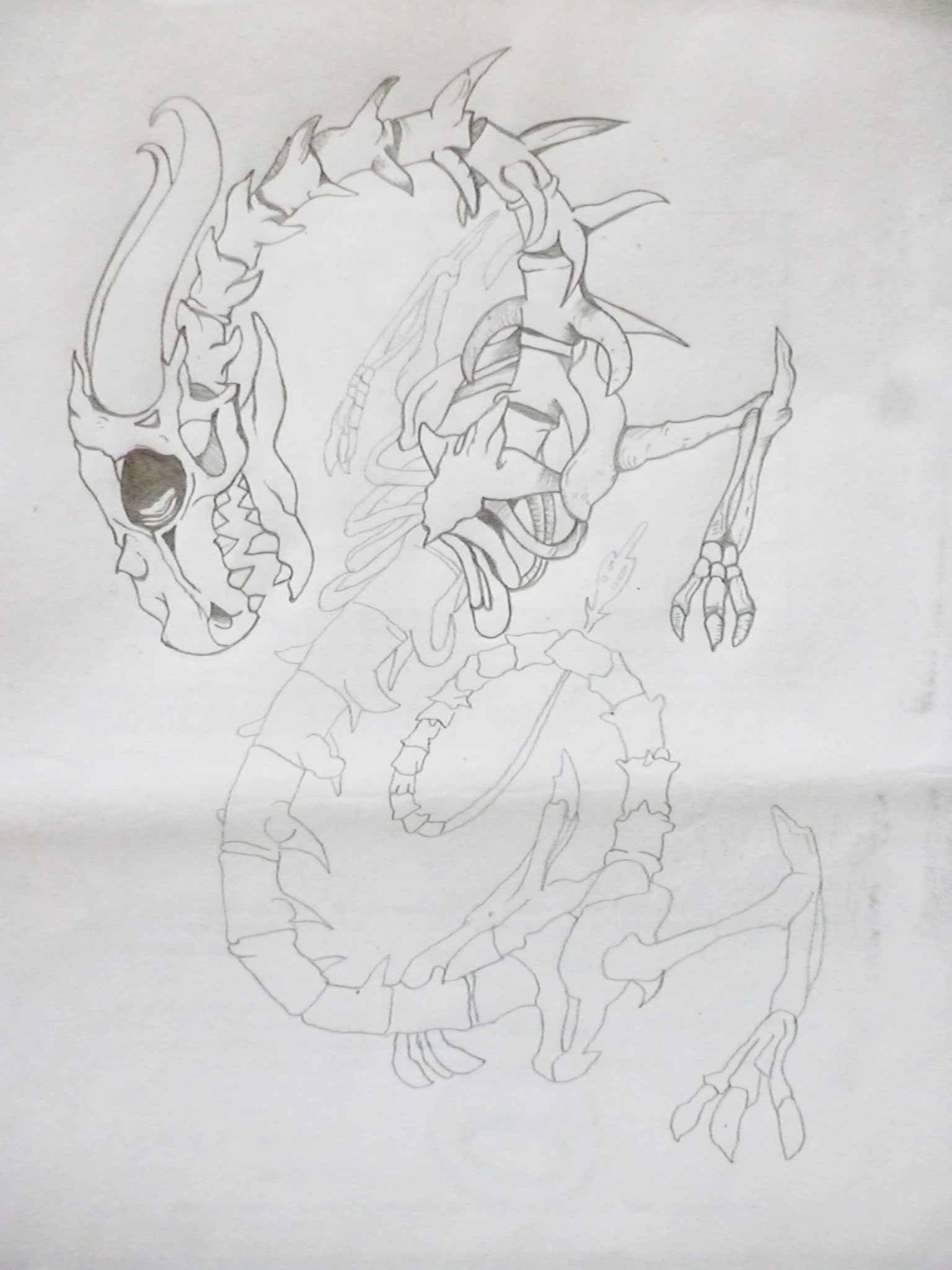 bone dragon drawing