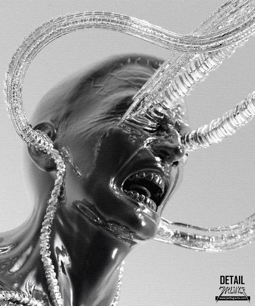 Assimilation_Detail1.jpg