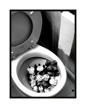 toilet flowers.jpg