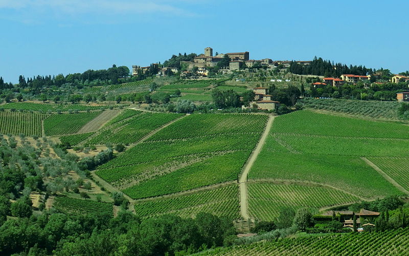 800px-Panzano_in_Chianti_002.JPG