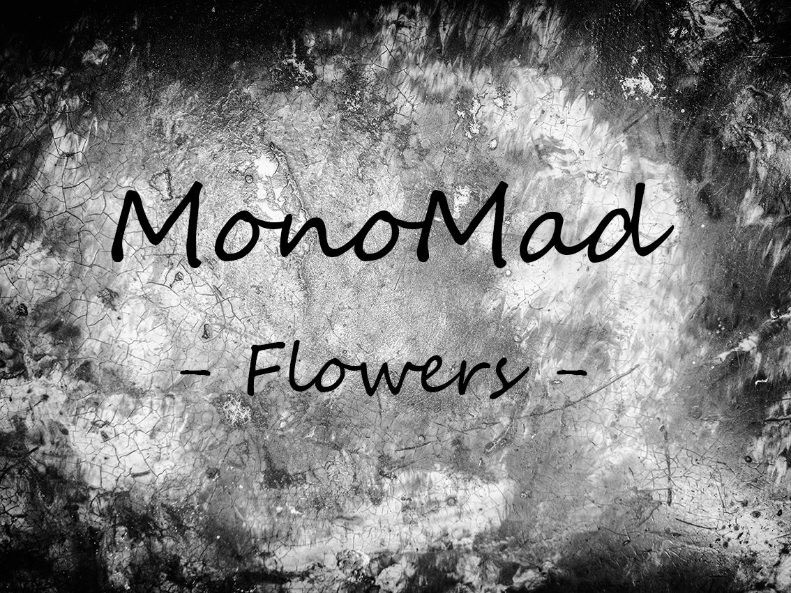 MONOMAD  Flowers.jpg