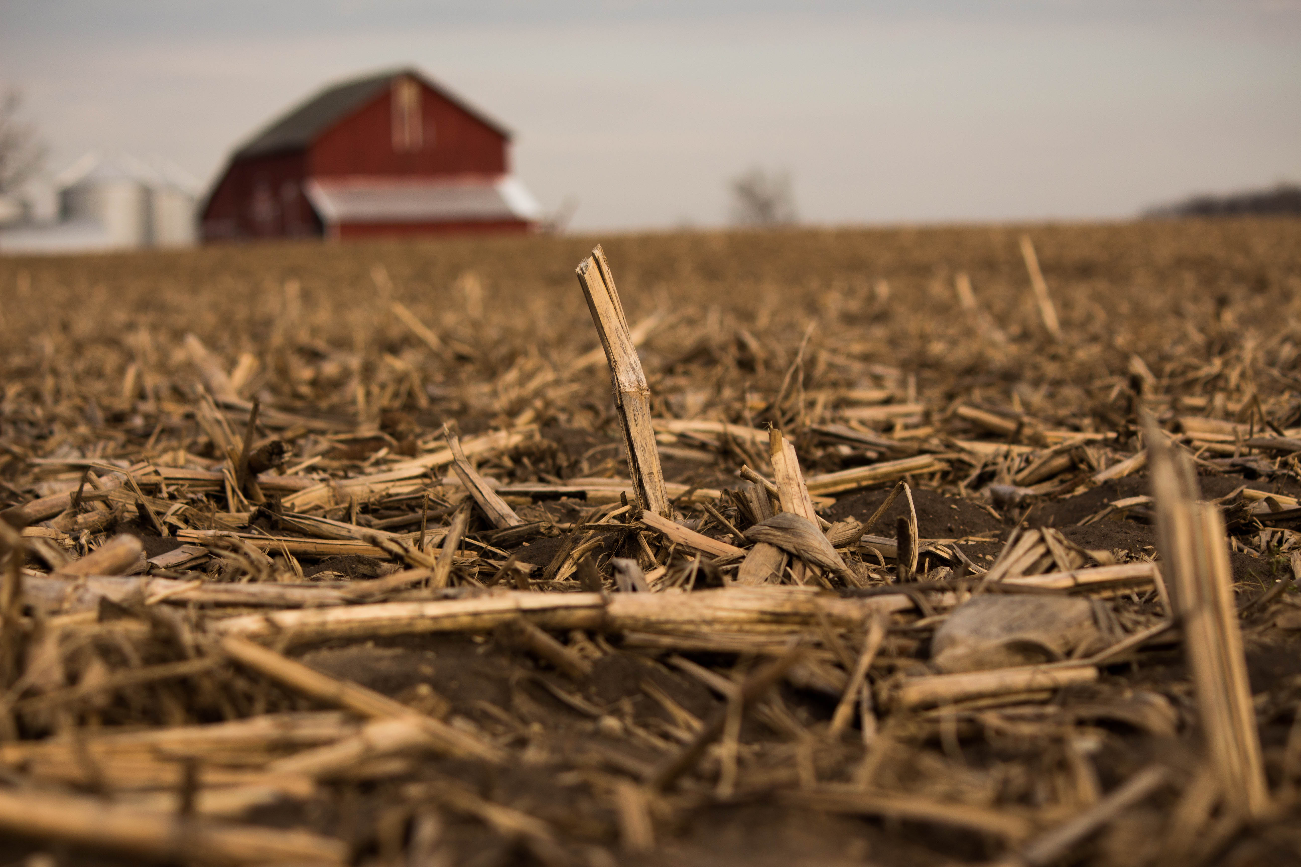 Barn 20-23.jpg