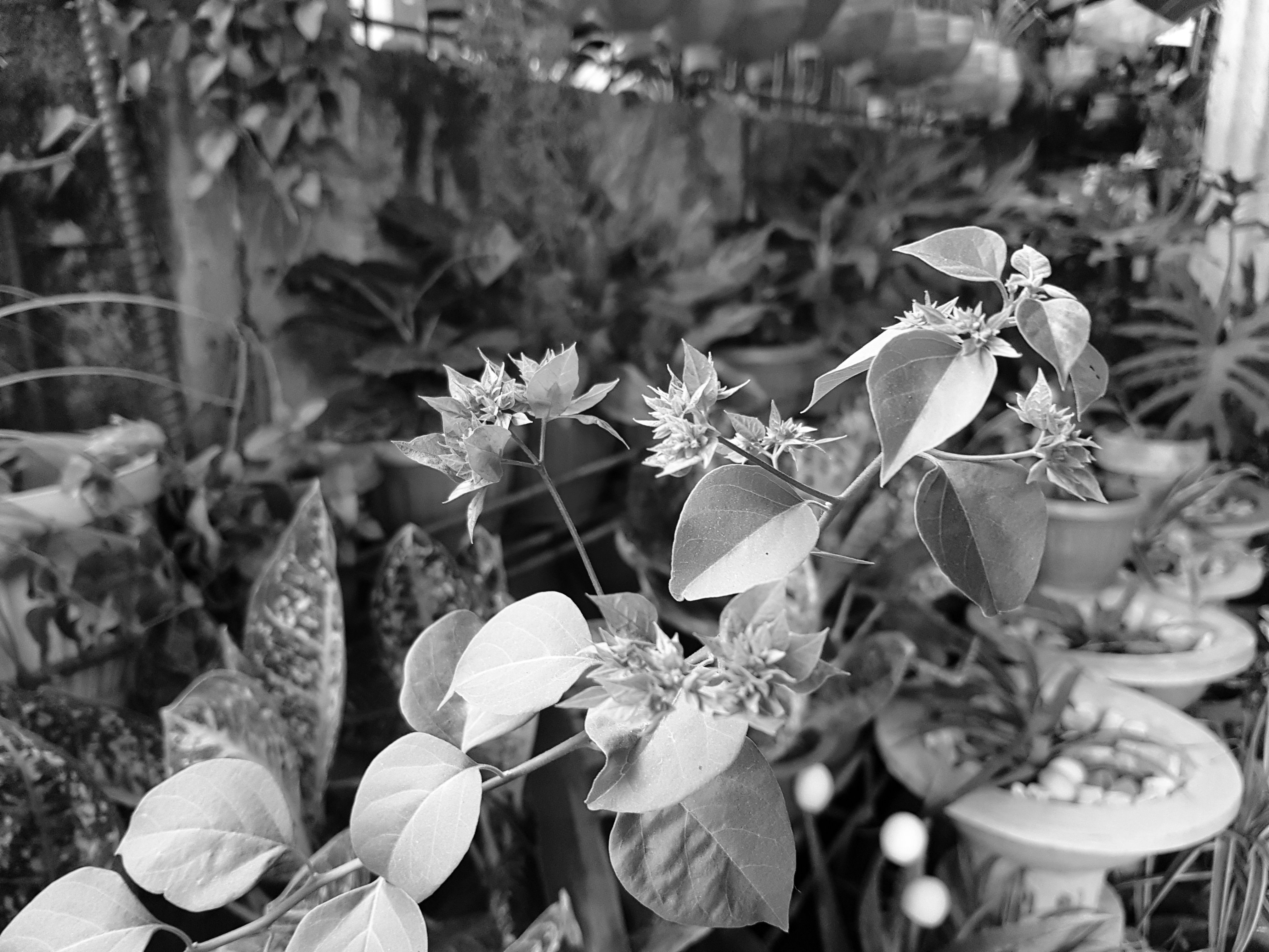 20180220_173448-01.jpeg