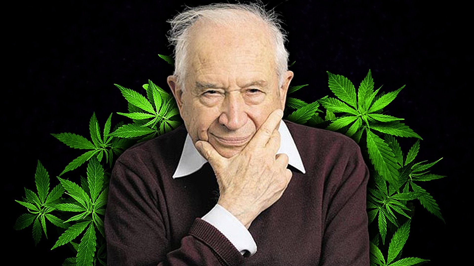 dr-raphael-mechoulam-cannabis-research-father.jpg