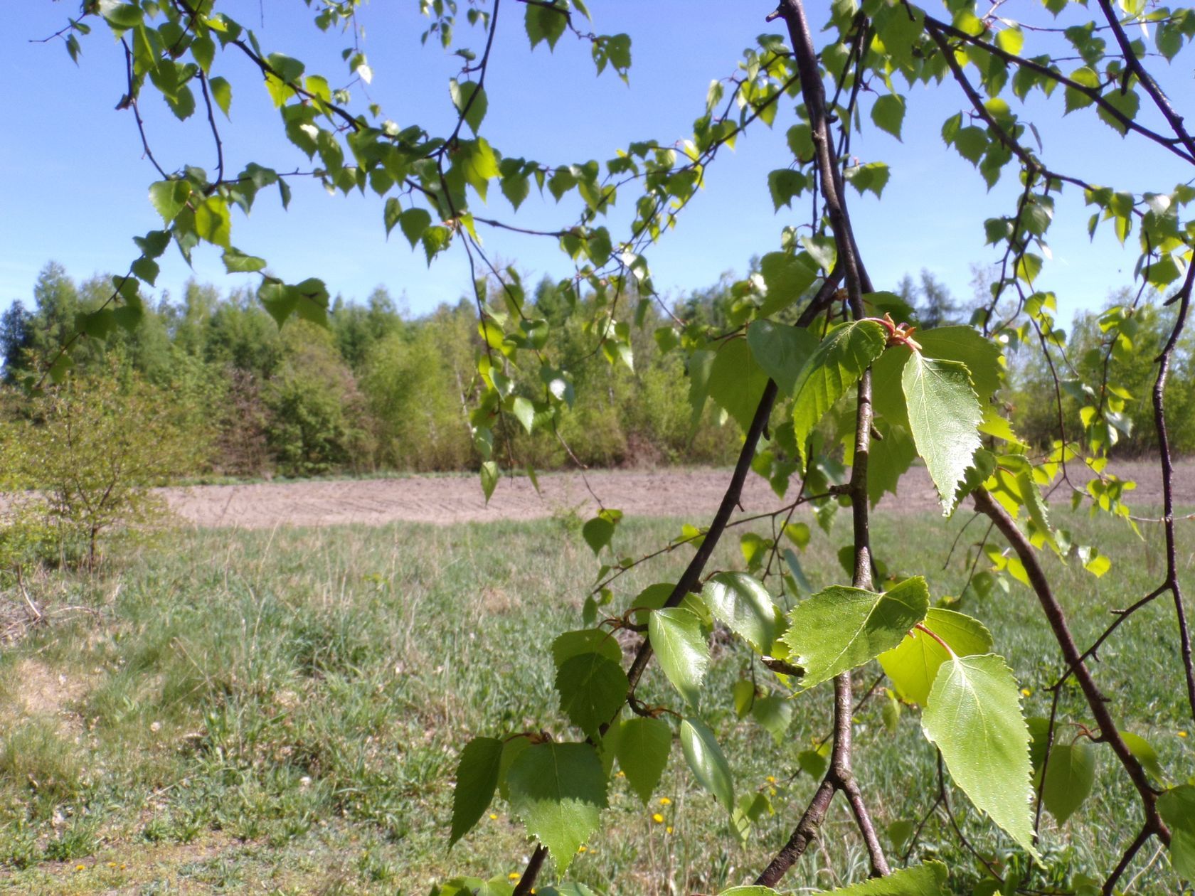 DQmWcr4XsqUpF1Yns2ePs7Aziq5k1D98eDuk9qi7MsEdZNw_1680x8400.jpe