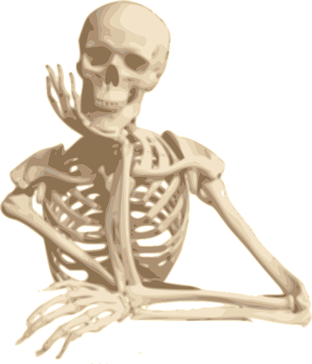 skeleton-30160_960_720.png