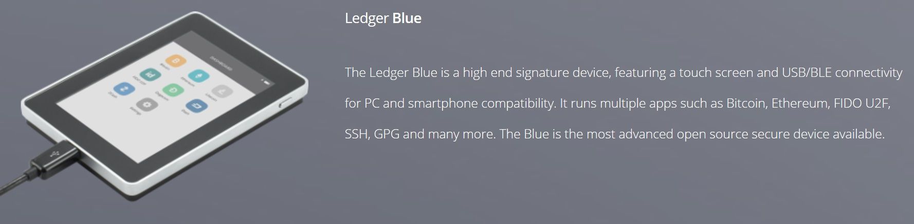 ledger blue.jpg