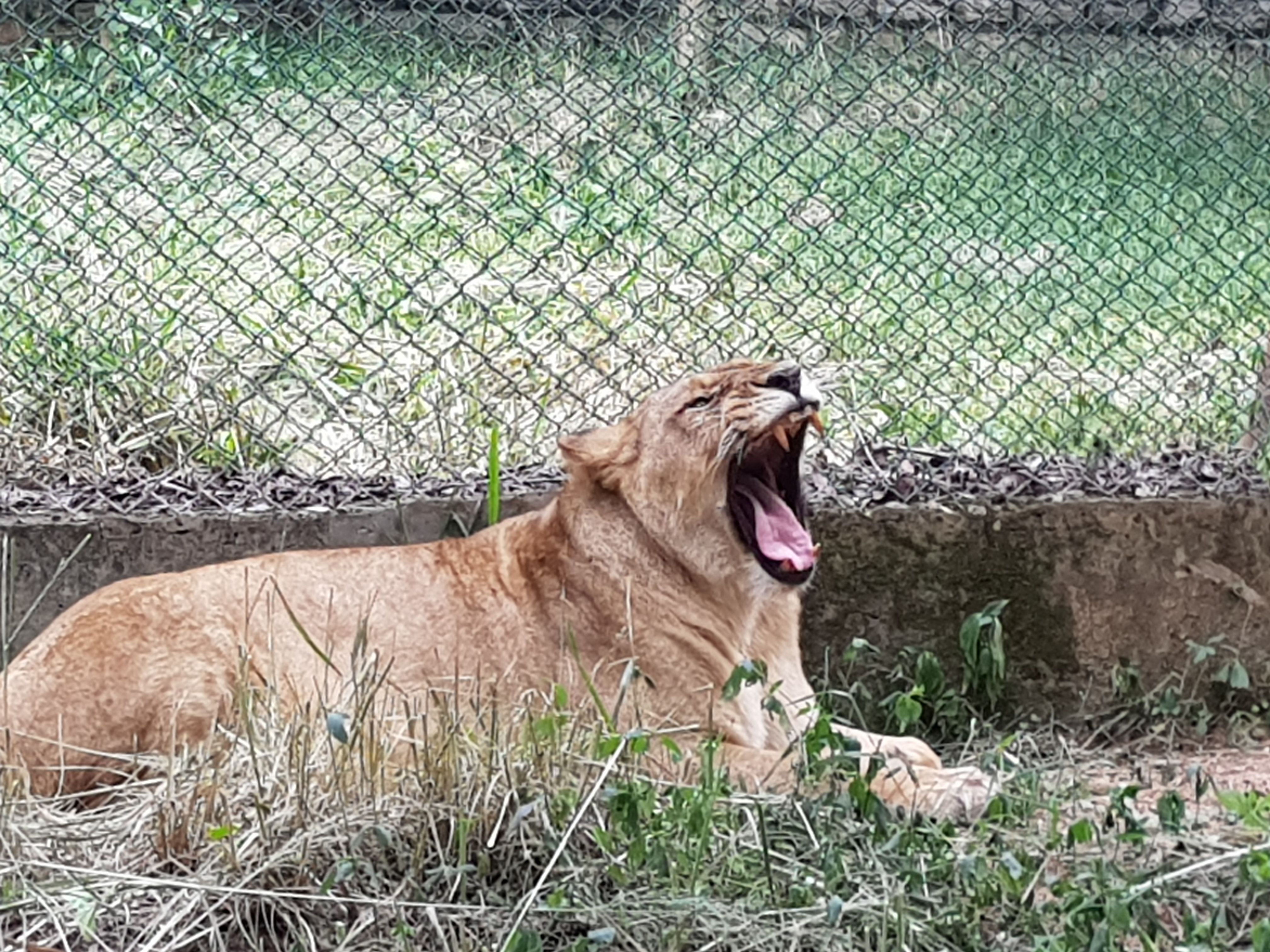 20170723_151442.jpg