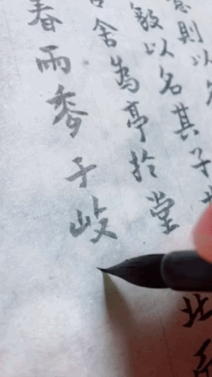 1B5D364B-360C-4BC7-8601-1751D216C702.gif