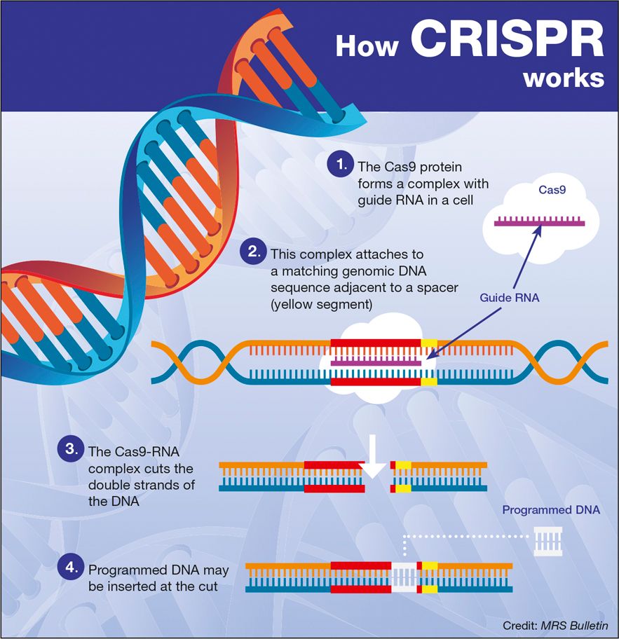 CRISPR Gene editing Is Changing The World Steemit