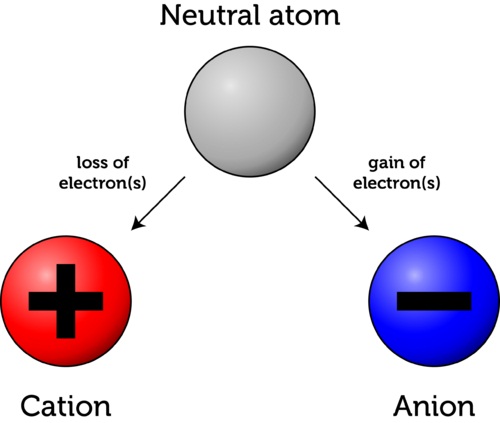 static-el-5.jpg