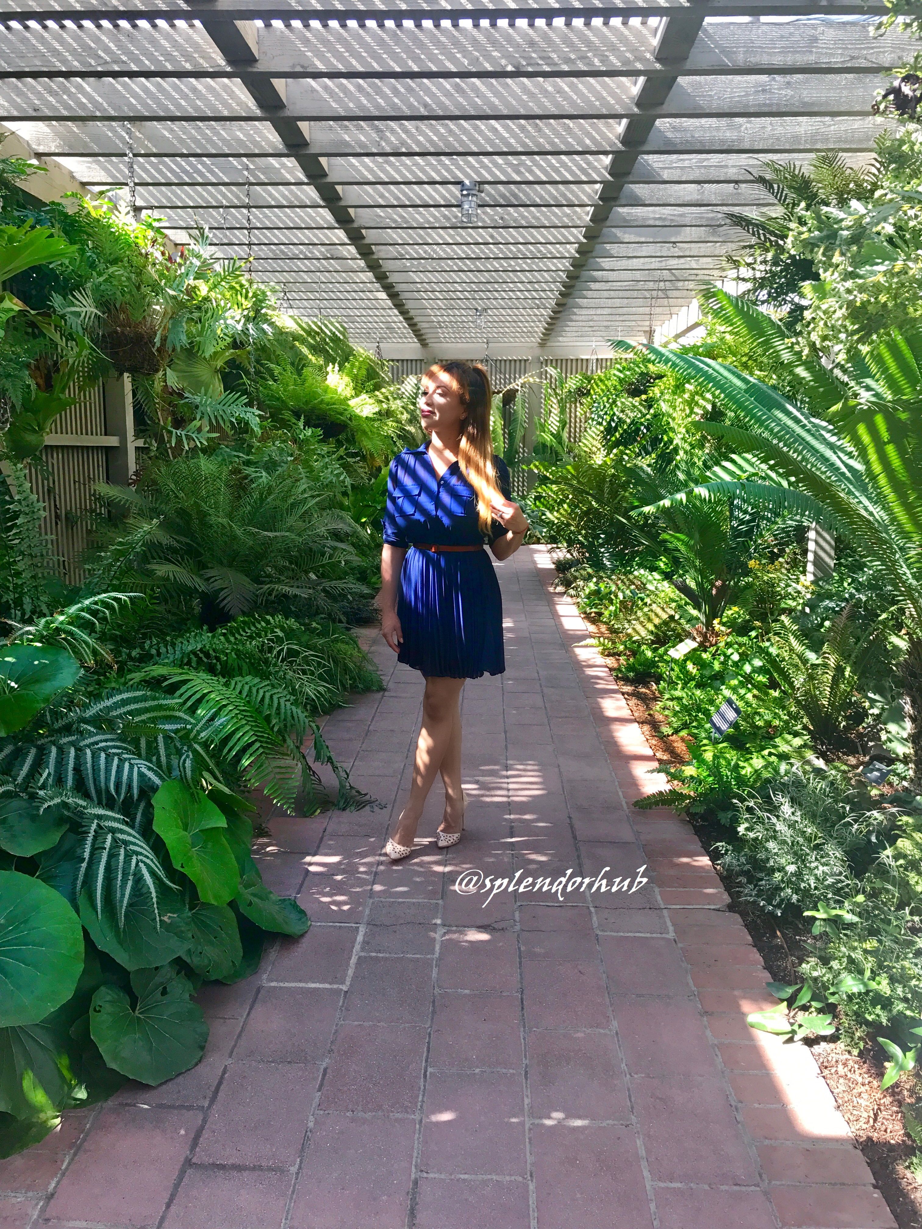 @splendorhub sherman g 5.jpg