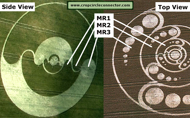 M029.gif