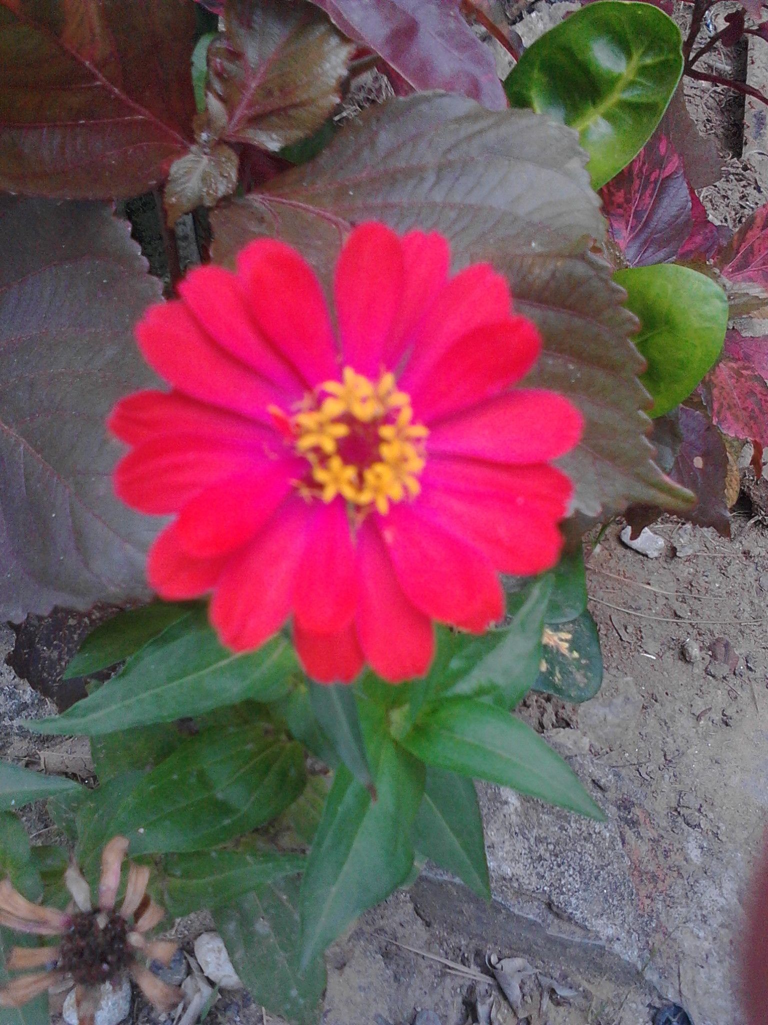 IMG20180404165408.jpg
