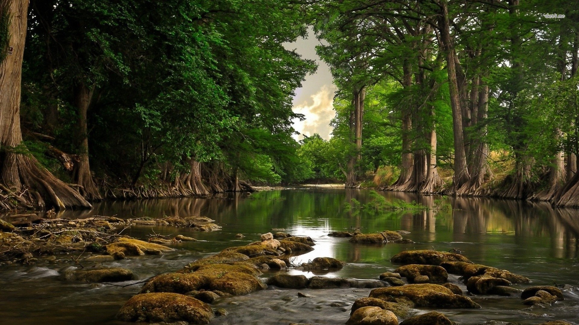 https://steemitimages.com/DQmXDohz21ywZgnFWZq7DPcZdKxWuptqL9HbXoJ7vMPcZyv/370623-forest-river-amazing-wallpaper.jpg
