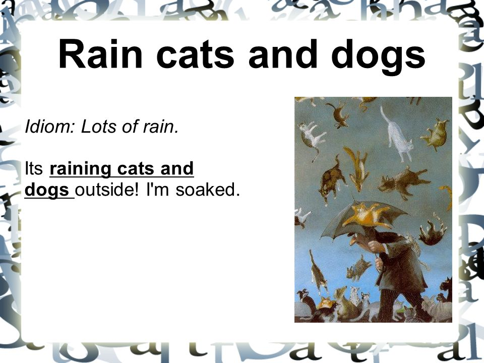 Rain Cats and Dogs идиома. Raining Cats and Dogs идиома. Идиома it's raining Cats and Dogs. Rain Cats and Dogs идиома перевод. It has rained a lot