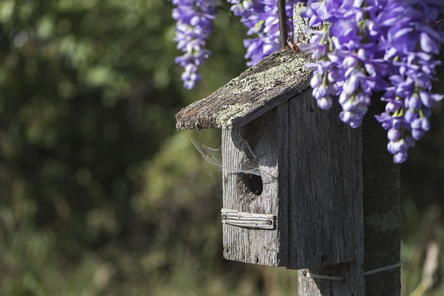 birdhouse-2813920_640.jpg