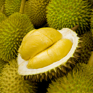durian-culture-d24-2-320x320.jpg