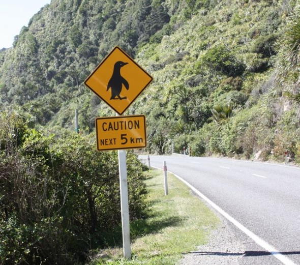 photo_1304129958funny_road_sign_penguin.jpg