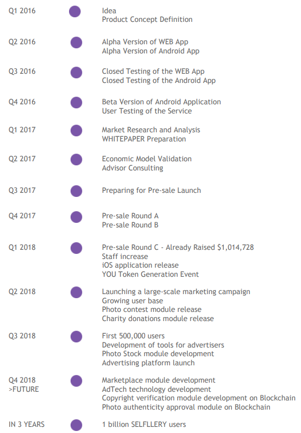 pic roadmap.png