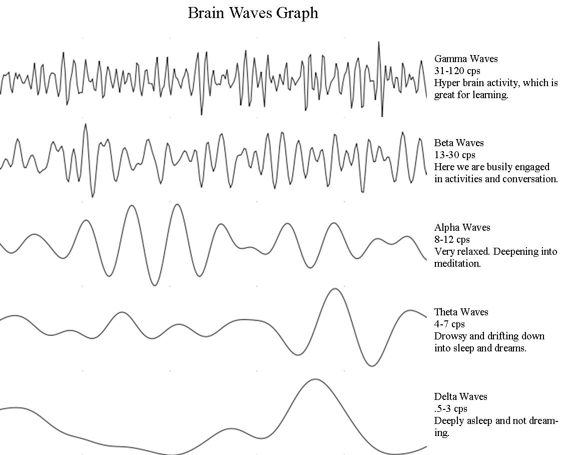 Brainwaves.jpeg