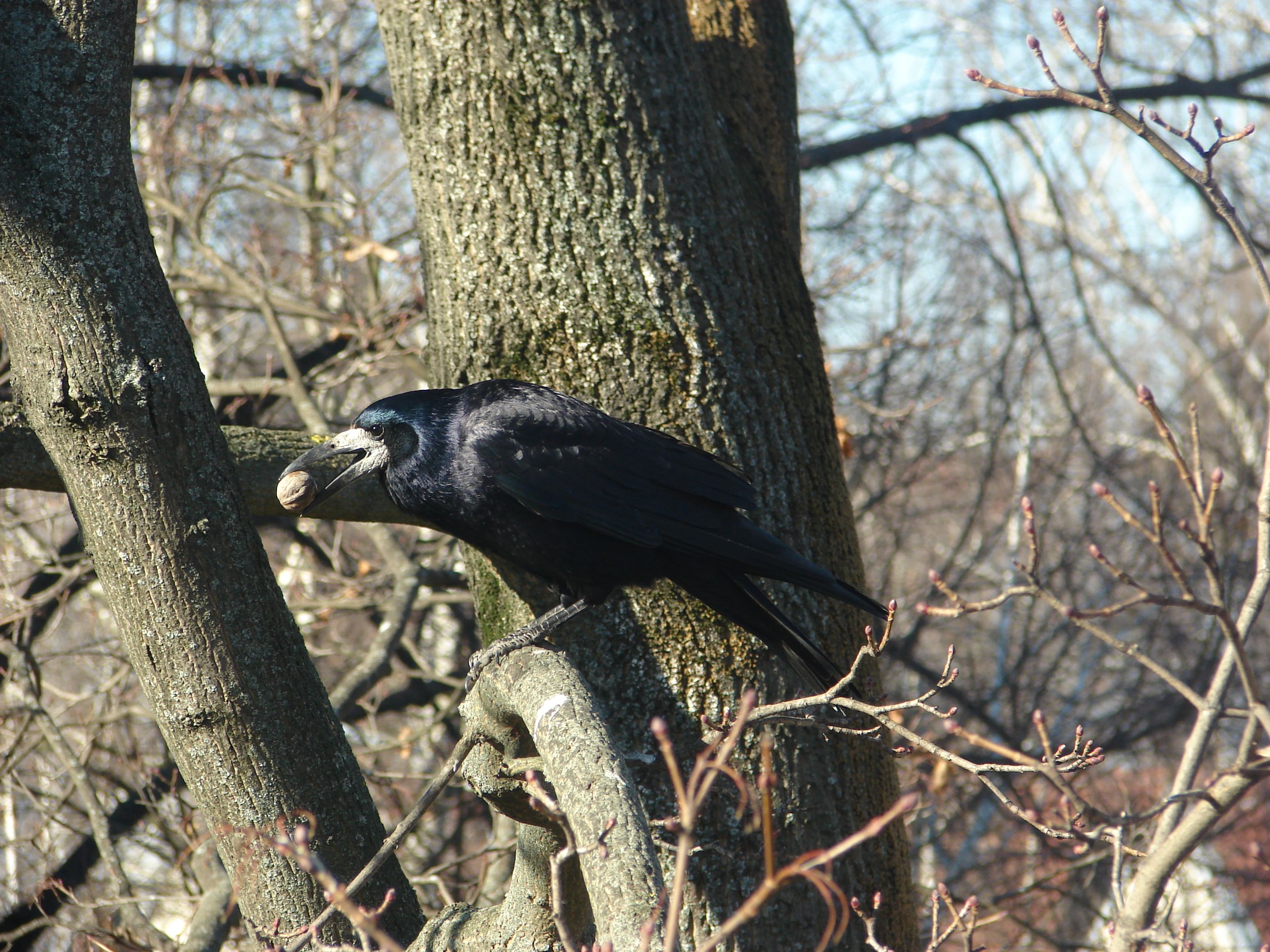DSC00020.JPG