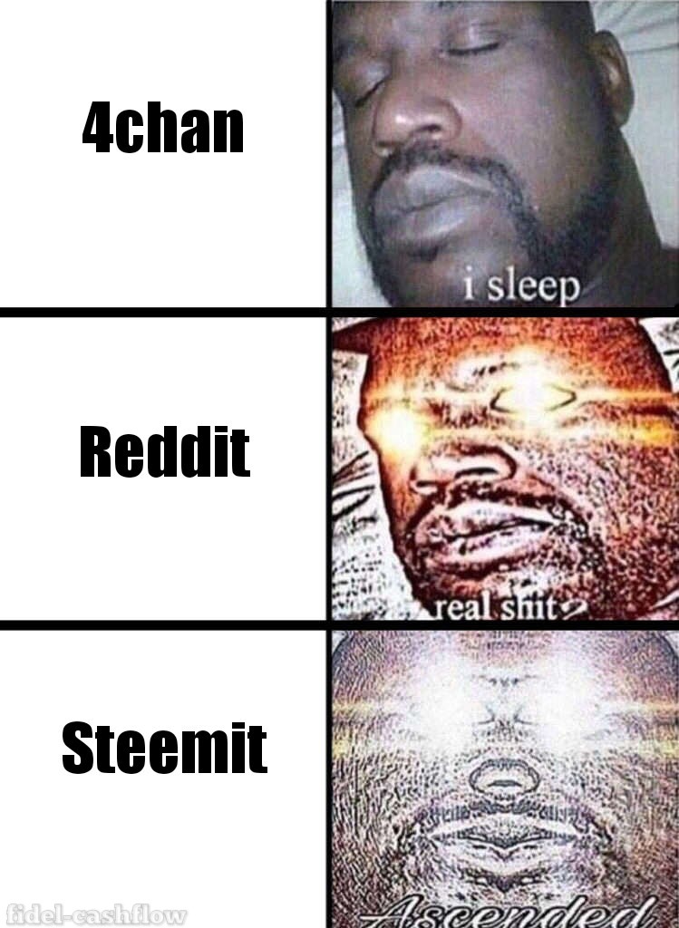 Sleeping Shaq 22022018180640_wm.jpg