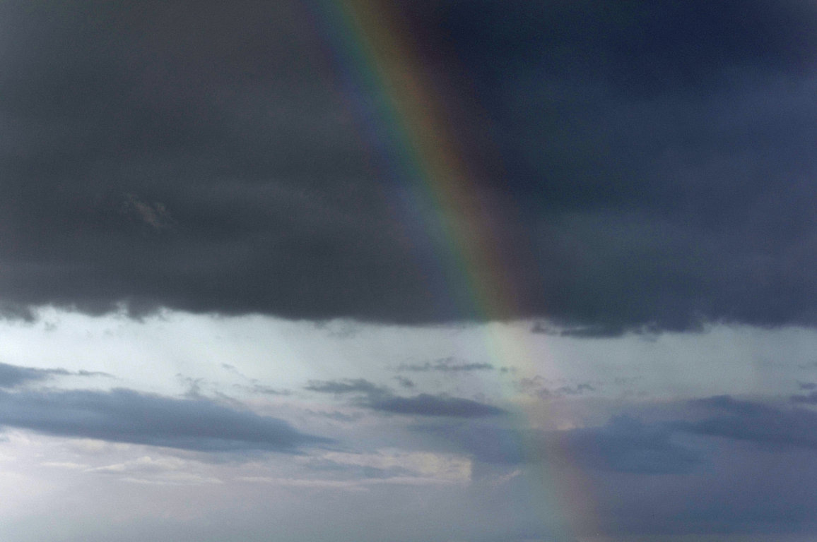 5812892899_4a00a9793a_o (FILEminimizer).jpg