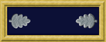 Union_Army_LTC_rank_insignia.png