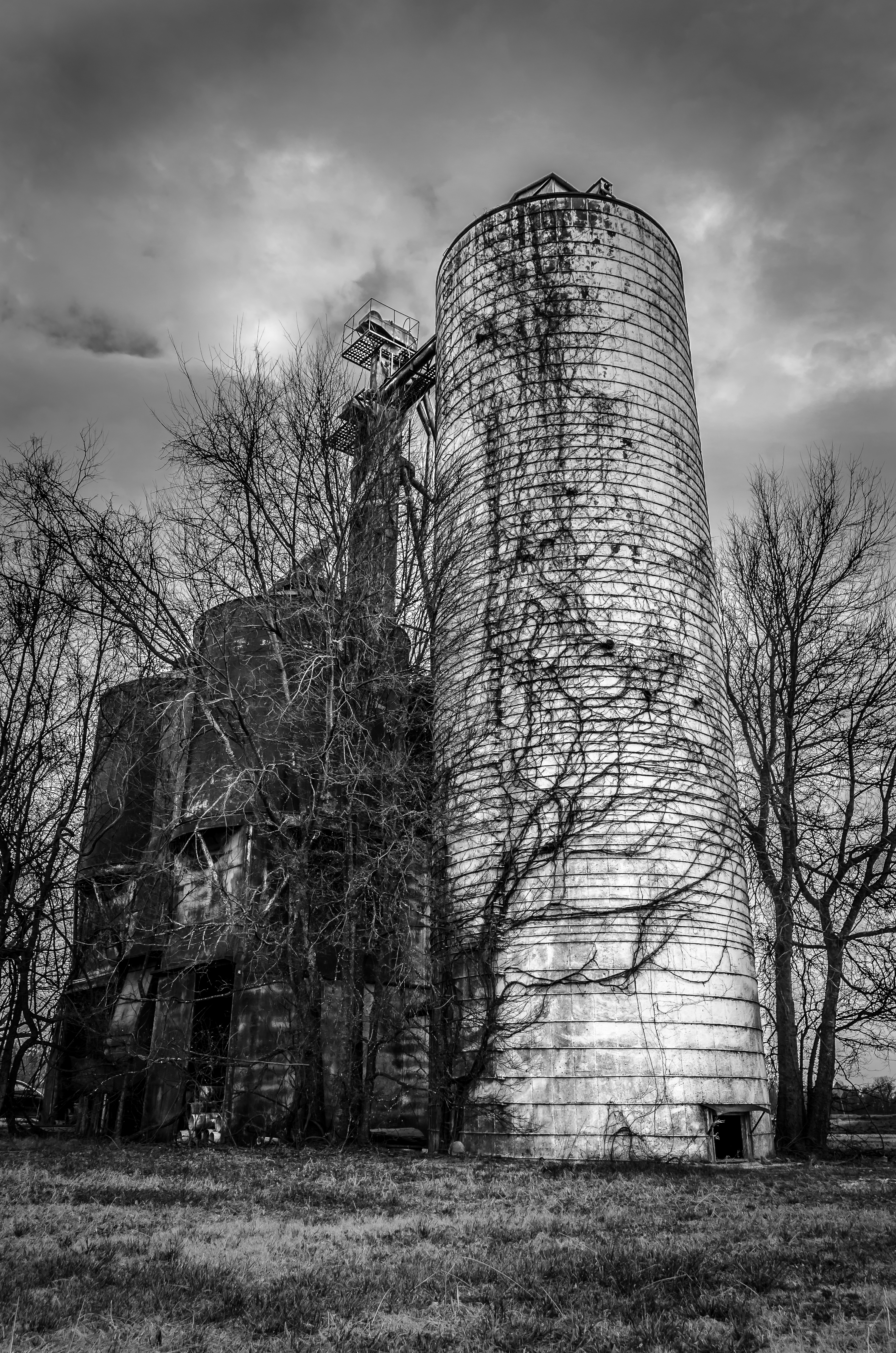 B&W - Old farm silo-1.jpg