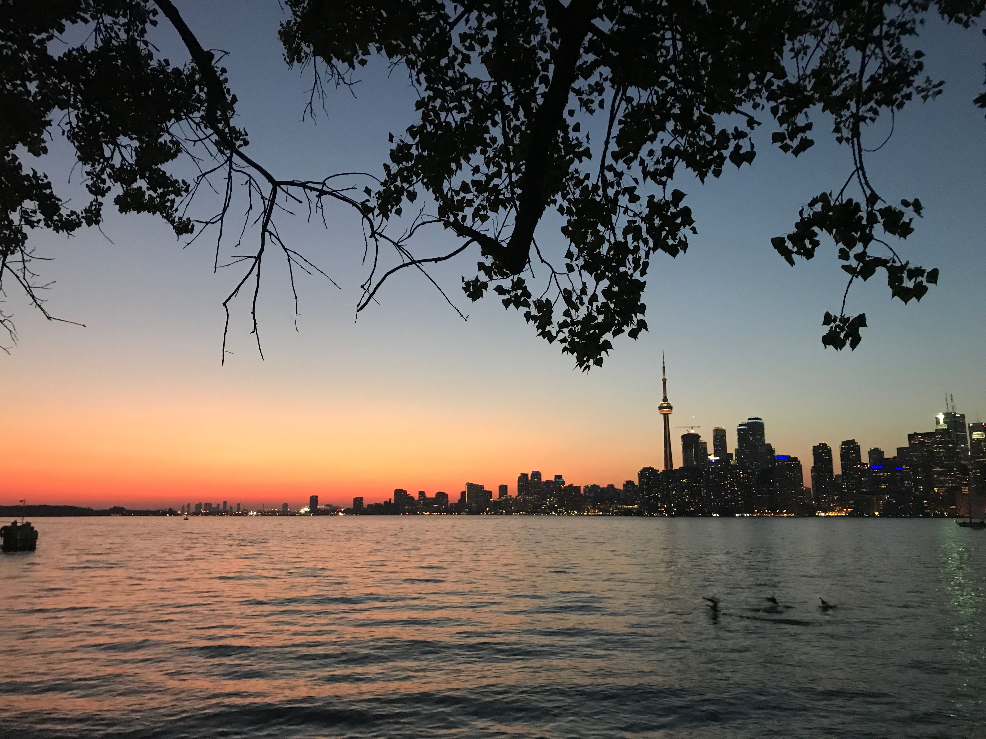 torontoSkyline.jpeg