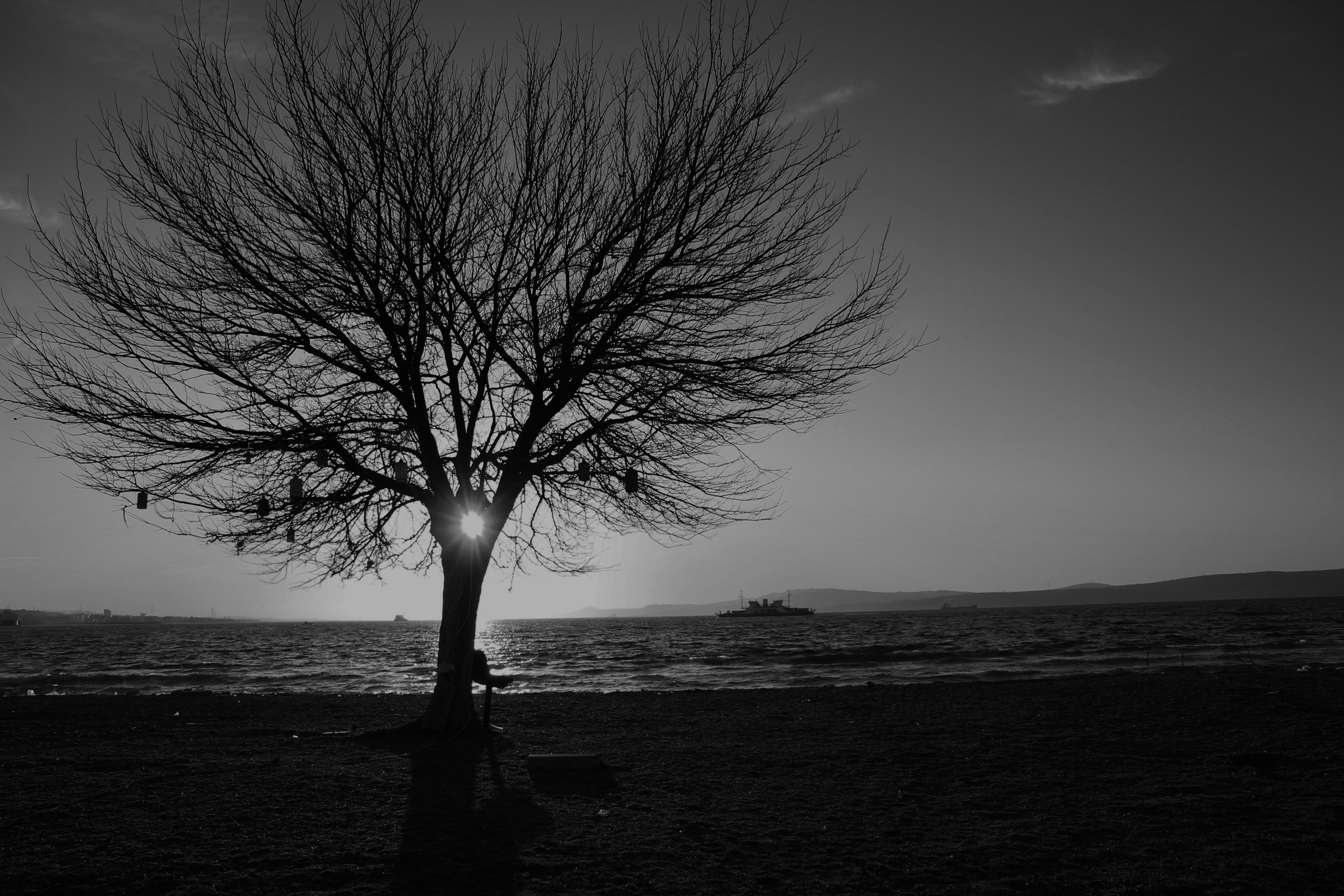 bnw day 1.jpg