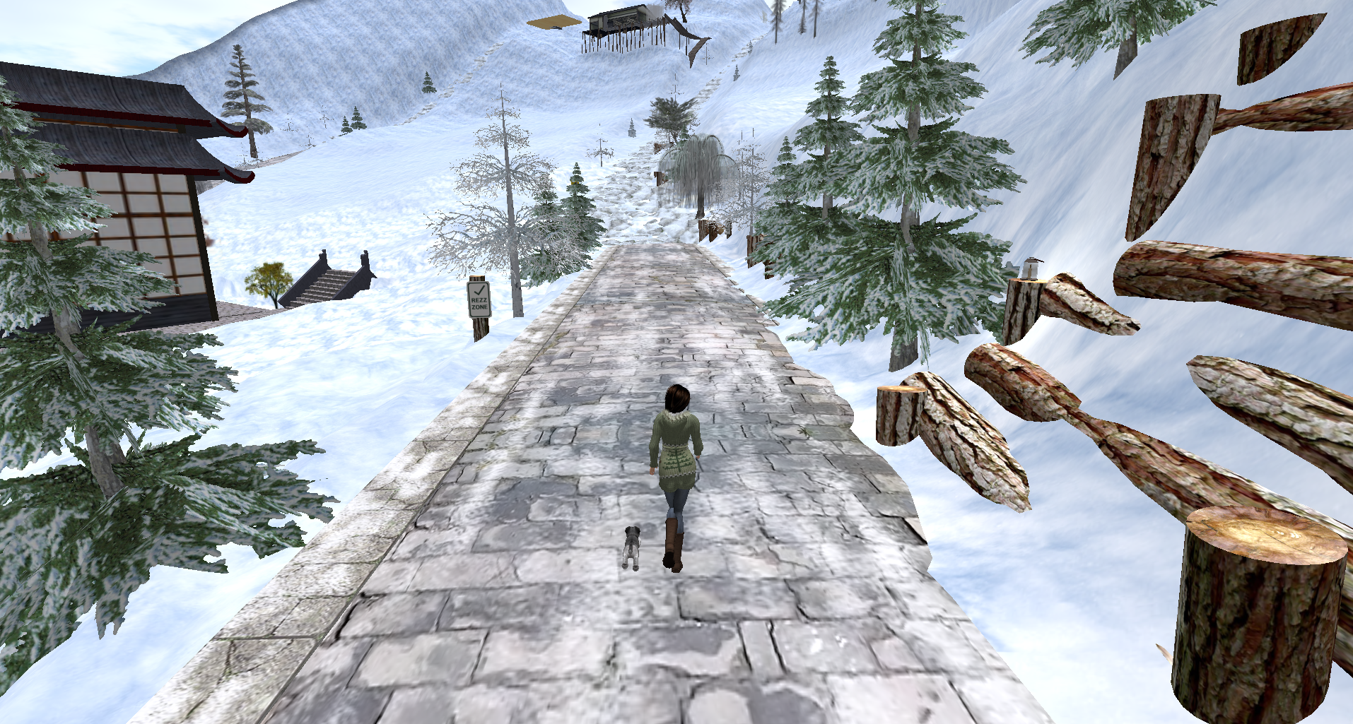 Snapshot_013.png