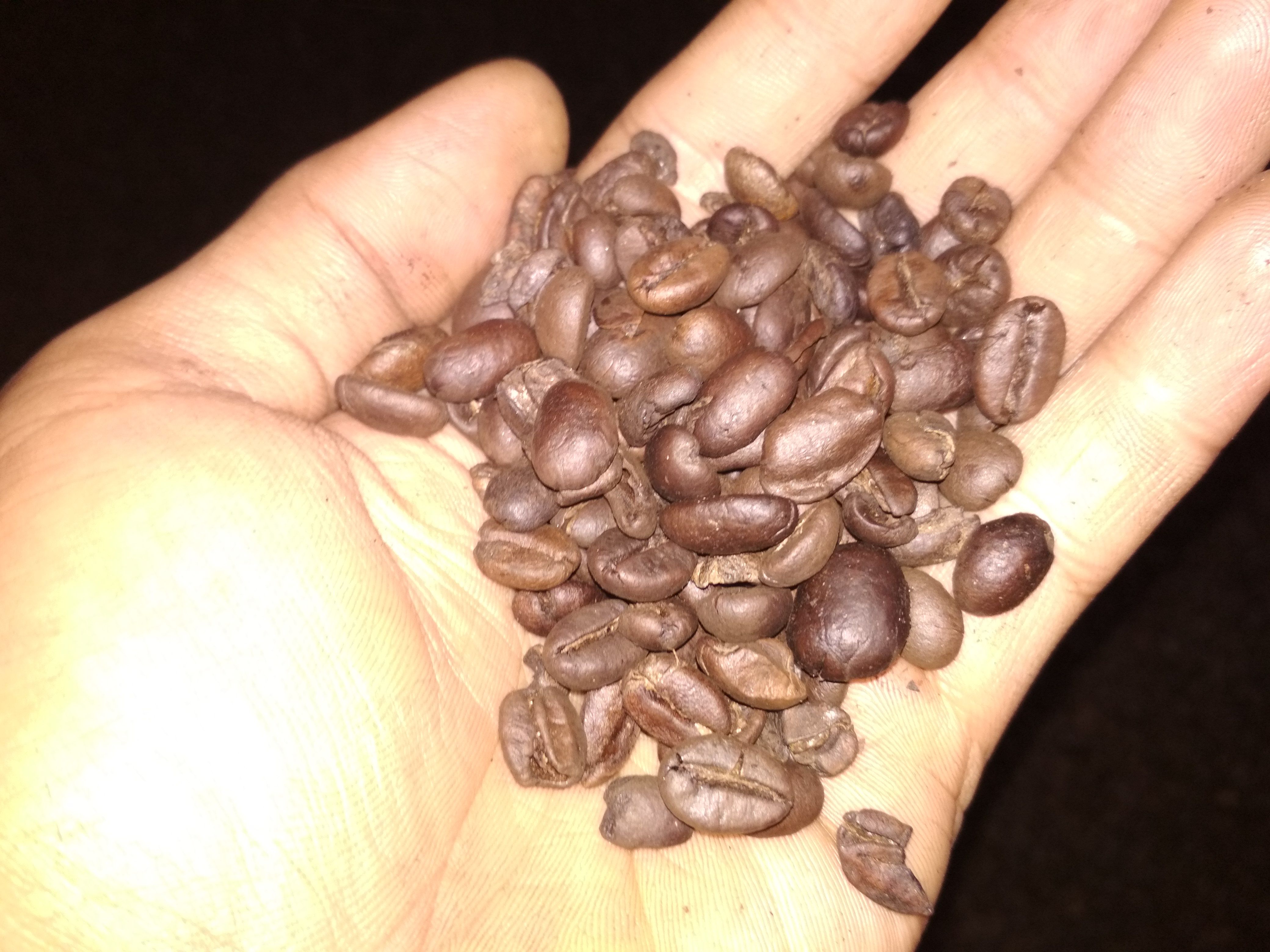 Photo contest smartphonephotography and sportsphotography by juliank