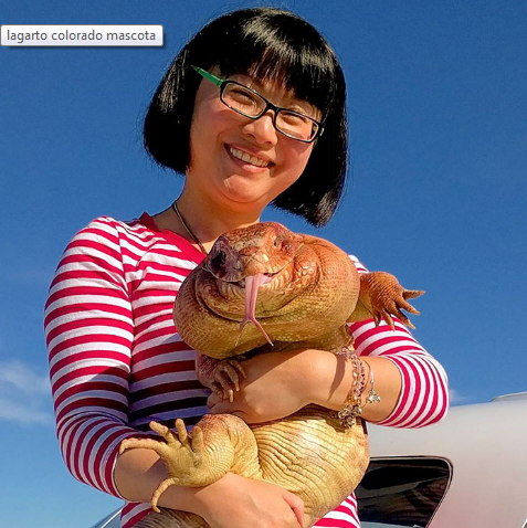 This lizard is the new favorite pet on Instagram — Steemit