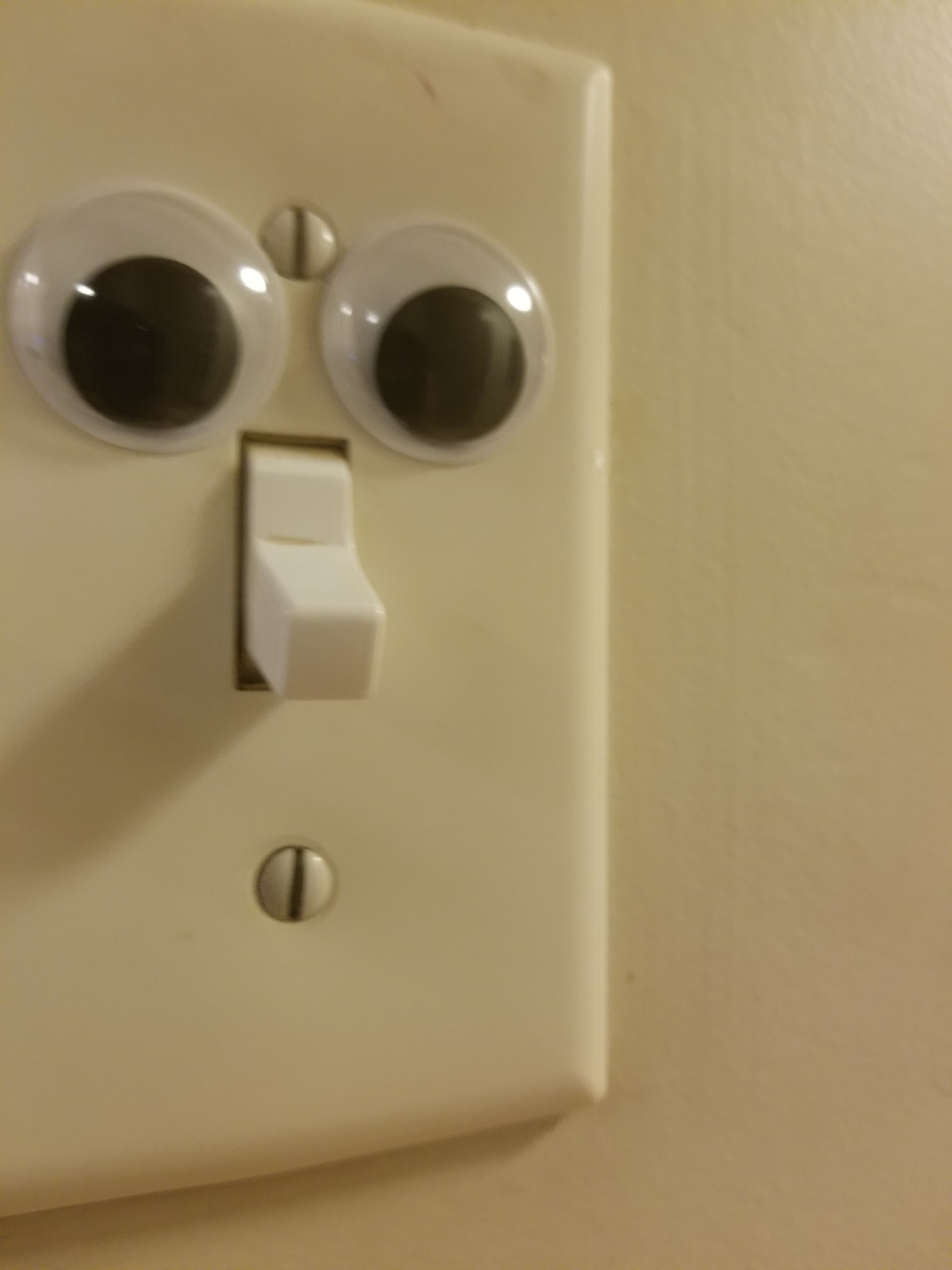 Light Switch