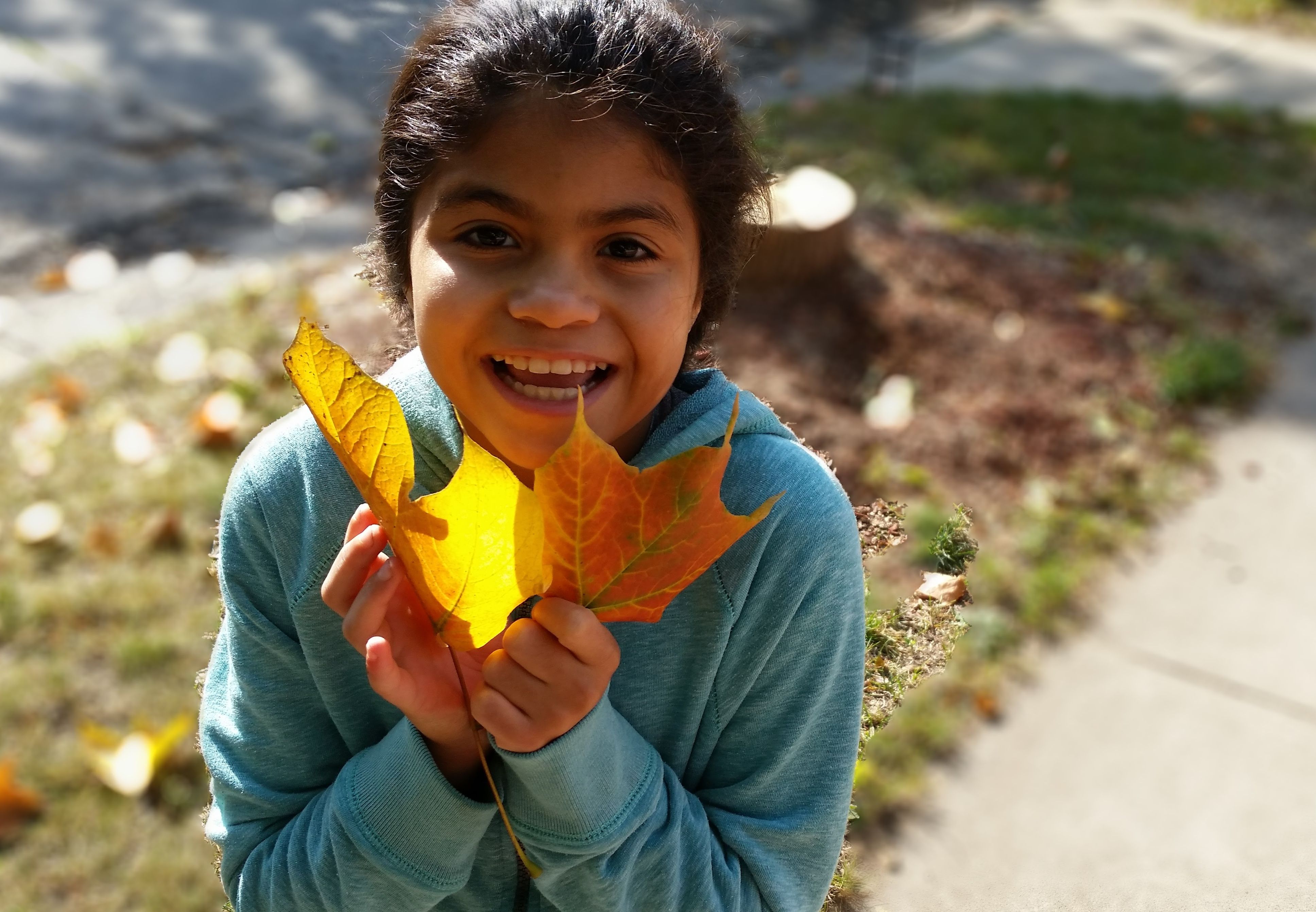 Amaya with maple leaves.jpg