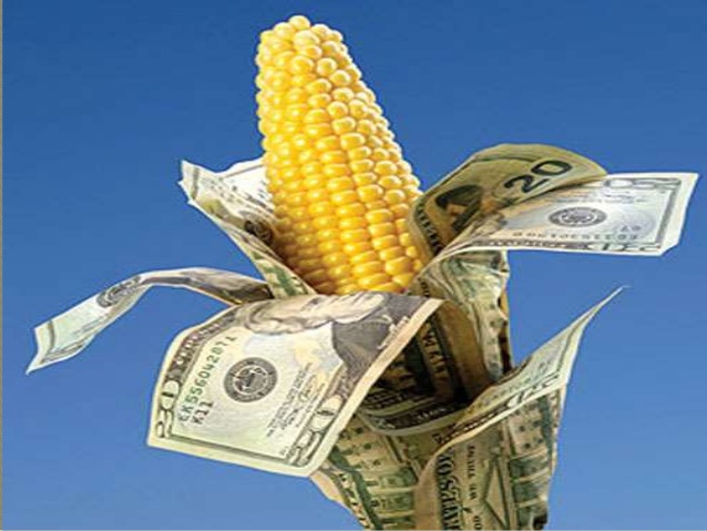 agricultural-economics-in-turkey-2-638.jpg