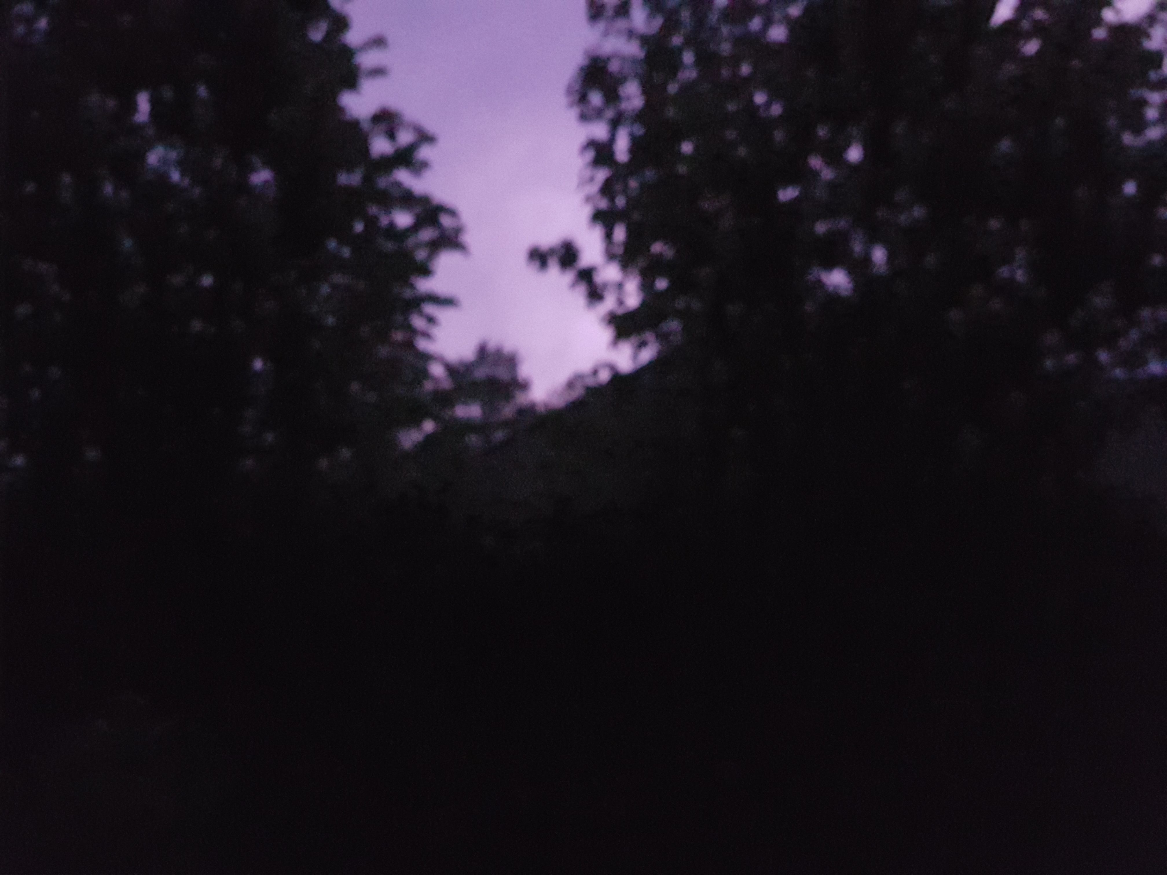 20180430_045009.jpg