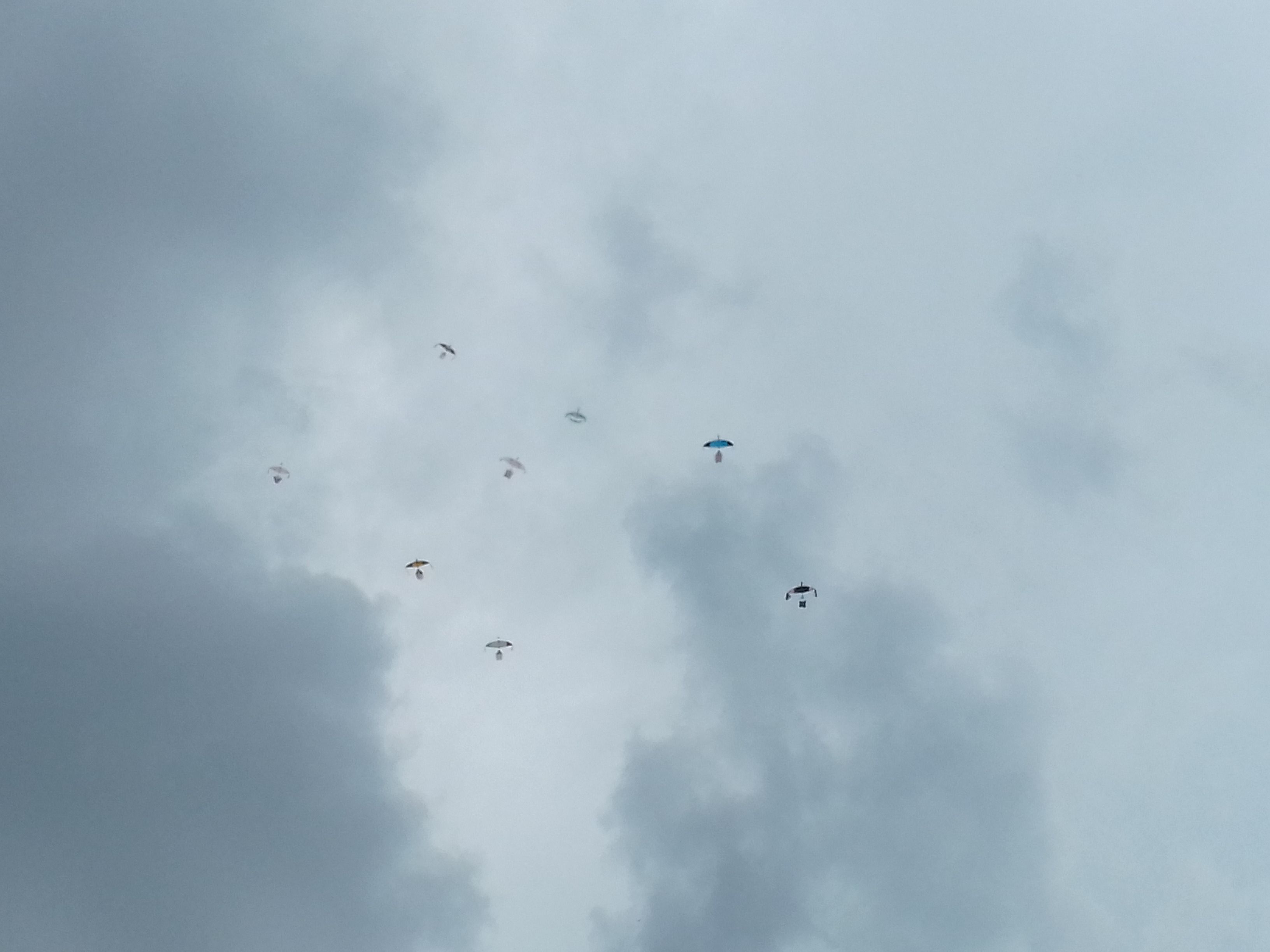 20180421_153919.jpg