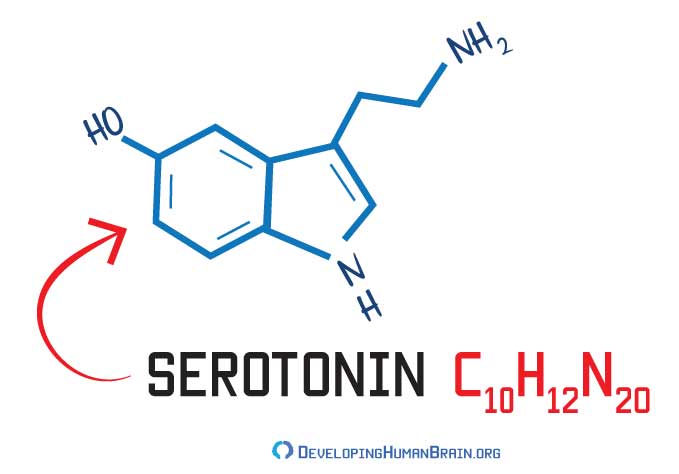 serotonin-structure.jpg