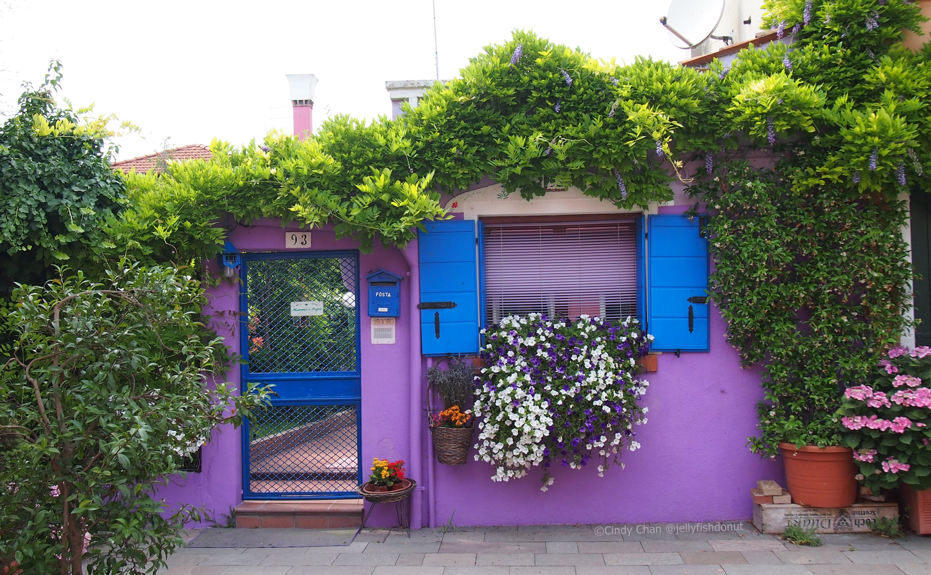 purple house.jpg