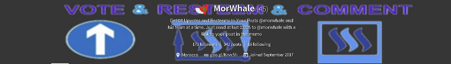 morwhale.JPG