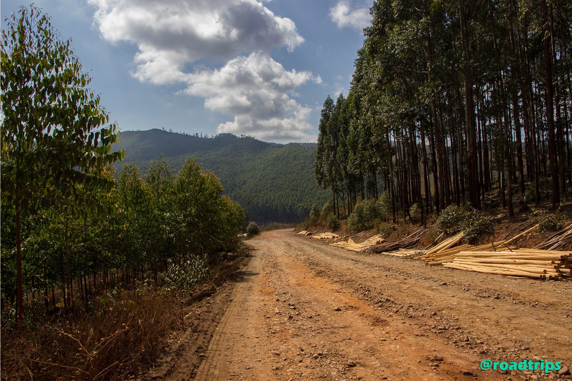 Swaziland.jpg
