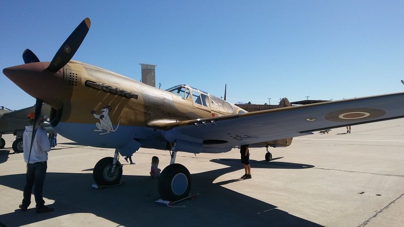 P40 Warhawk Front Left.jpg