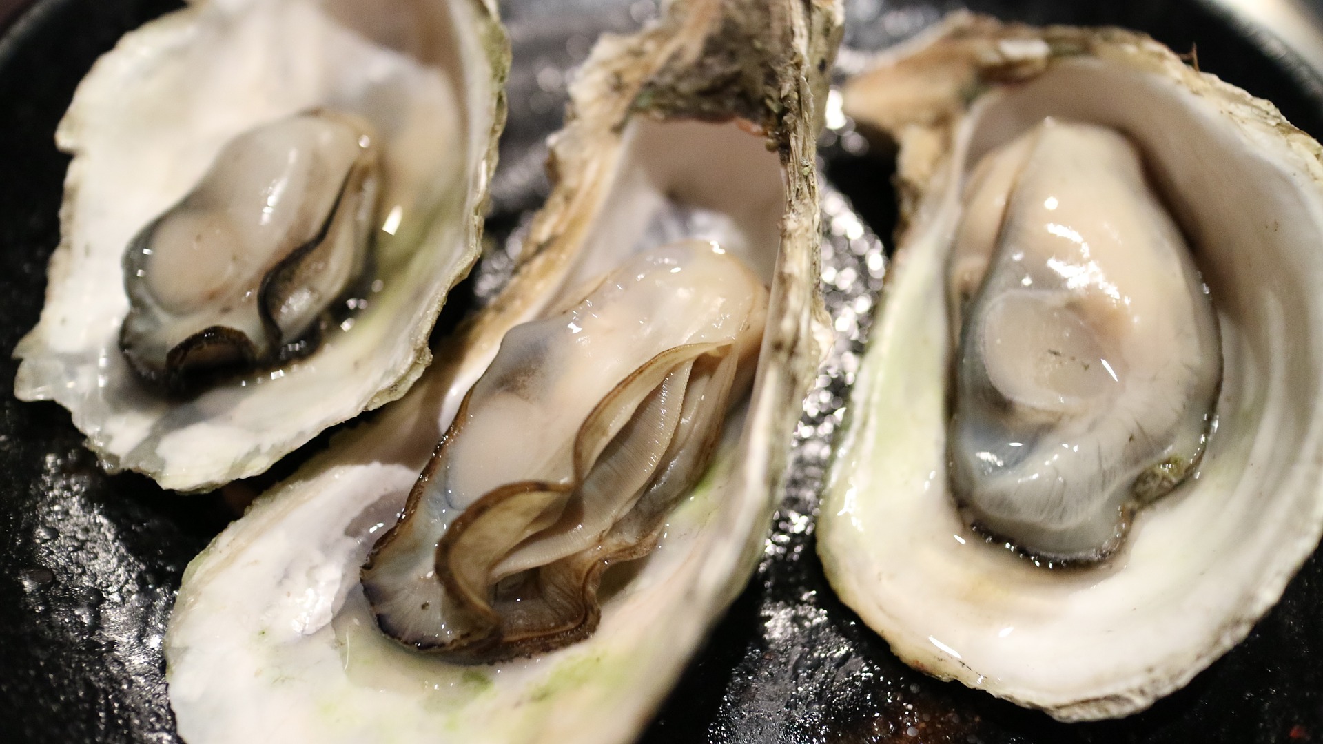 Oyster-how-to-shuck.jpg