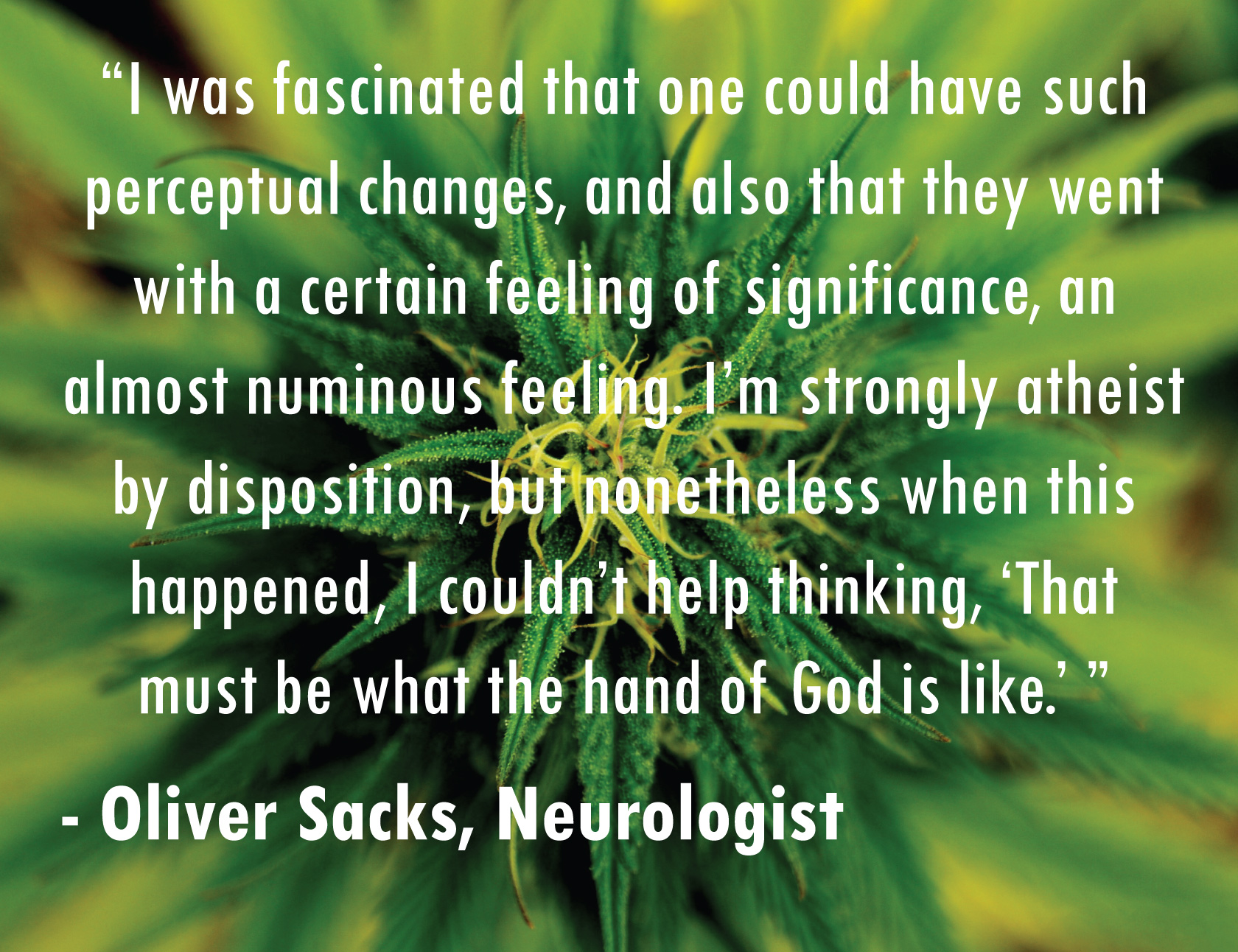 Oliver-Sacks.jpg