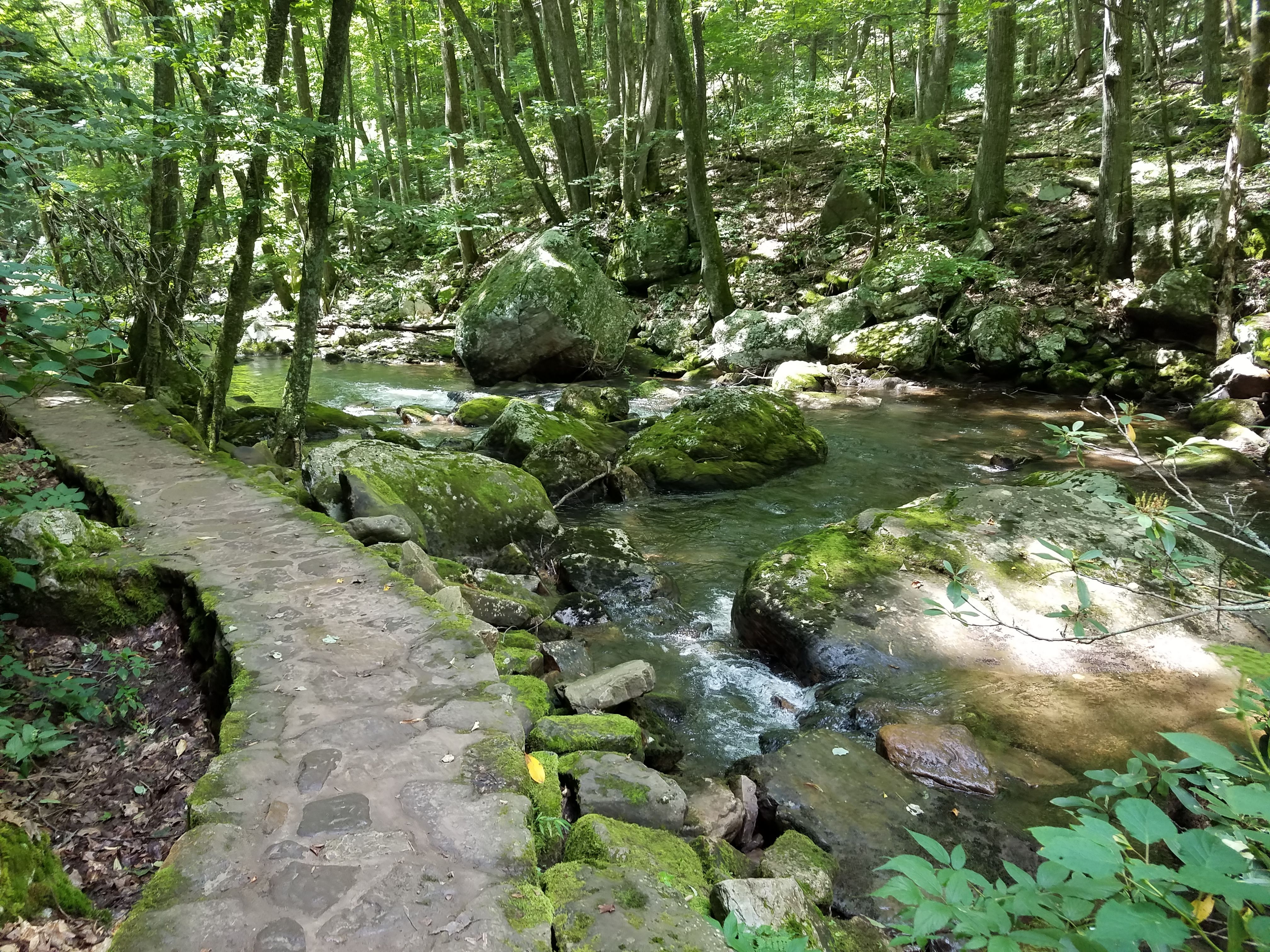 20170817_134755.jpg
