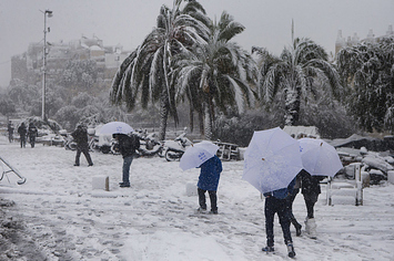 19-startling-photos-of-the-snow-in-florida-1-30328-1391057755-13_big.jpg